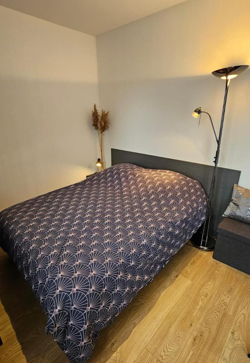 Studio Les Deux Grenouilles 5Mn De Colmar Herrlisheim-près-Colmar 外观 照片